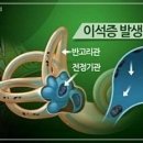 숲속부부한의원 이미지