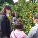 용무농장 이미지