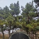 때뿌루민박 | 소야도 때뿌루야영장. 대부도 방아머리 선착장 차가지고 배타기.