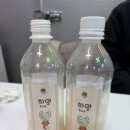 안암22 | 막걸리 공방 여우굴 서울 공방데이트 안암놀거리 추천