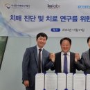 메디팁주