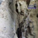 아양주공2차아파트 이미지