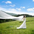 제주의 이유 이미지
