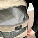 독립운송 | 실버크로스 베페 베이비페어 방문 후기 feat. 니아 런칭