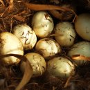 즉연농장 이미지