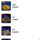 남주포장산업