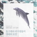 [생명다양성 정기 강좌] 돌고래와 바다생물의 생태와 보전 이미지