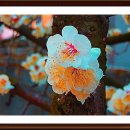 청암공원 이미지