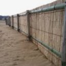 모래언덕 이미지