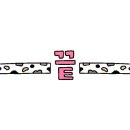 수원고양이호텔 가토캣슬 이미지
