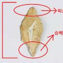 한국사 총론