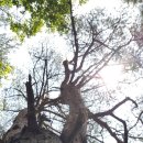 도덕1리 이미지