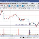 팜팜코퍼레이션
