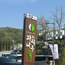 나무숲소 | 용인 자작나무숲, 소바랑, 영화 야당 당일치기 코스 후기