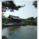 분당-388 이미지