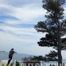 문섬·범섬천연보호구역 네이버블로그