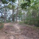 비봉산 음수대 이미지