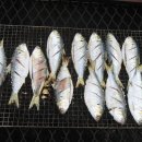 인이수산 이미지