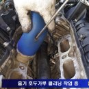 미미호두 - 여수시 학동북4길 7 | 미미호두