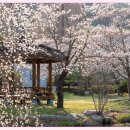 명당1길 이미지