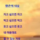 차한잔의자유