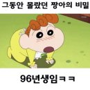 짱아 Daum카페
