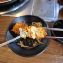 용궁복어 이미지