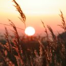 병인한의원 이미지