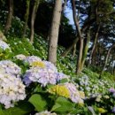 명사해수욕장 주차장 이미지