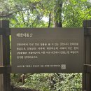 해맞이동산