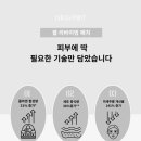 르셀리