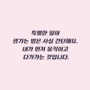 스텔라정