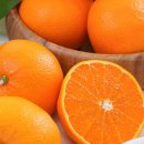 땡큐베리팜 이미지