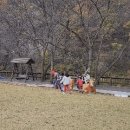 솔뫼펜션 | 🎃 할로윈 캠핑 | 완주 솔뫼캠핑장 가족 코스프레 파티 후기 (내돈내산)