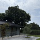 태흥중동로 이미지