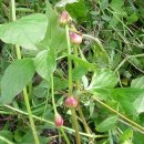 우슬농장 이미지