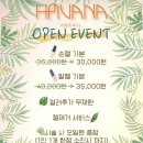 네일하바나