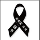 리본산부인과 메디게이트뉴스