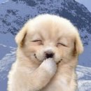 유정상사 이미지