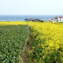 (주)제주속으로 이미지