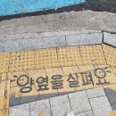 영월 초등학교 앞 이미지