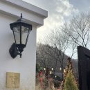 리베볼 | 대구 근교 성주 크리스마스 카페 예약, 후기🎅🏻🎄