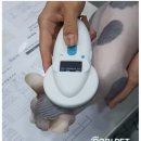 코비 트래블 이미지