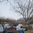 쇠똥구리 2농장 이미지