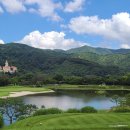 벨리스크린 이미지