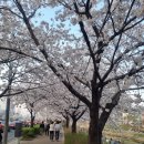 모란행정사 이미지