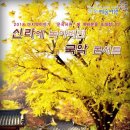 서원유치원 이미지