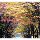 중앙화원 이미지