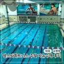 서울휘트니스 | 서울 강서구 자유수영 엠스타휘트니스 | 수영장+사우나 일요일 일일권 솔직후기
