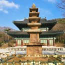 진덕사 석조약사불좌상 | 전남4 5월여행 영암 대한민국 국보 제50호 해탈문 보물 5층석탑 석조여래좌상 월출산 도갑사 카페 차담